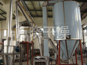 骨頭蛋白專(zhuān)用噴霧烘干設(shè)備